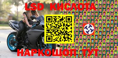 крисы Лесосибирск