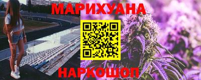 крисы Лесосибирск