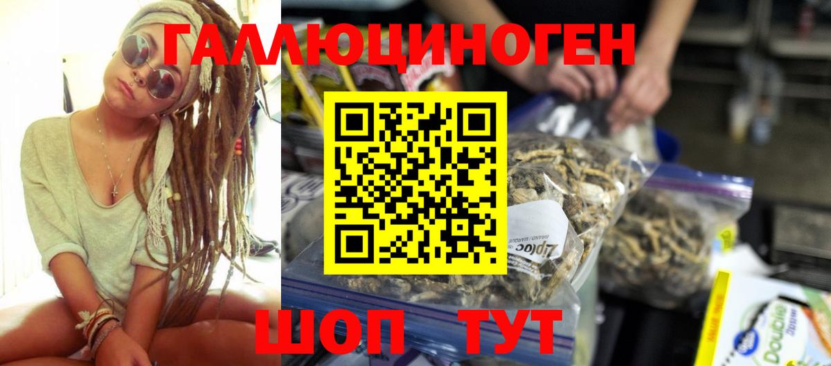 наркотики  Вход с VPN  Гурьевск  Галлюциногенные грибы Psilocybine cubensis  Галлюциногенные грибы мицелий 