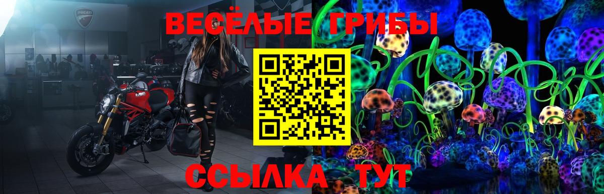 Псилоцибиновые грибы мухоморы Гурьевск